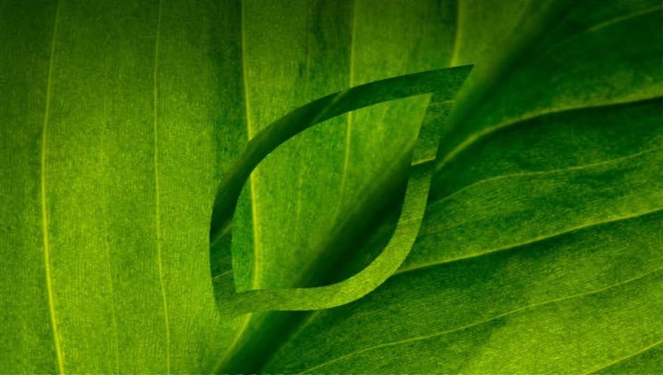 Syngenta Group logo